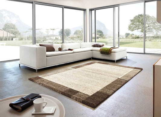 Modern living room with a center rug